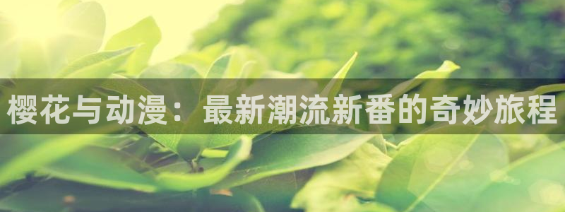 omofun专注动漫的网站：樱花与动漫：最新潮流新番的奇妙旅程