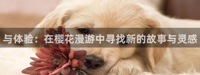 omofun动漫免费观看：与体验：在樱花漫游中寻找新的故事与灵感