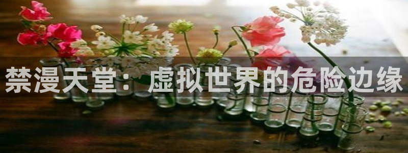 omofun网页版下载：禁漫天堂：虚拟世界的危险边缘