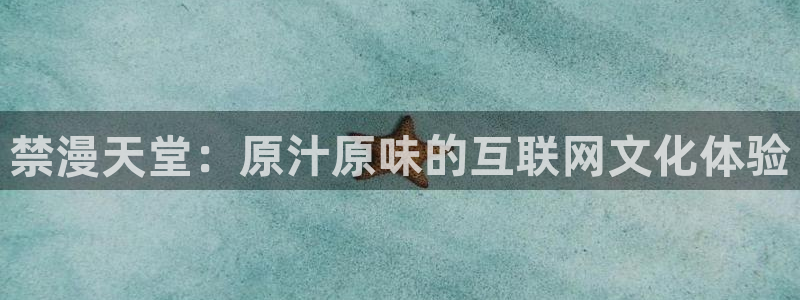 omofun正版下载安卓：禁漫天堂：原汁原味的互联网文化体验