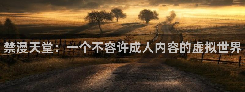 omofun旧版本：禁漫天堂：一个不容许成人内容的虚拟世界
