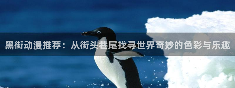 omofun复活版：黑街动漫推荐：从街头巷尾找寻世界奇妙的色彩与乐趣