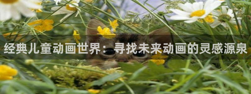 omofun下载入口：经典儿童动画世界：寻找未来动画的灵感源泉