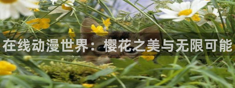 omofun动漫网：在线动漫世界：樱花之美与无限可能