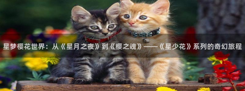 omofun动漫官网最新版：星梦樱花世界：从《星月之夜》到《樱之魂》——《星少花》系列的奇幻旅程