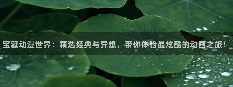 动漫天堂入口下载最新版：宝藏动漫世界：精选经典与异想，带你体验最炫酷的动画之旅！