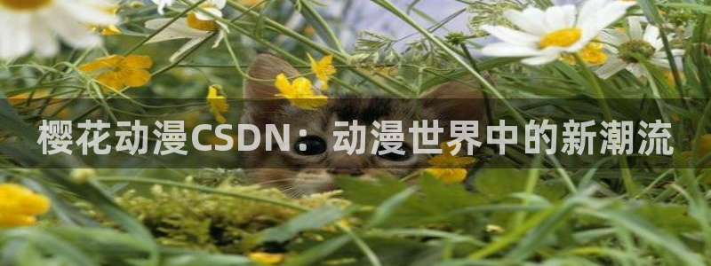 omofun动漫官方版下载：樱花动漫CSDN：动漫世界中的新潮流