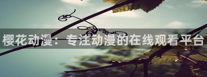 omofun漫画官网入口