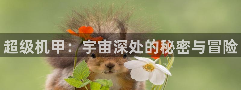 omofun.top：超级机甲：宇宙深处的秘密与冒险