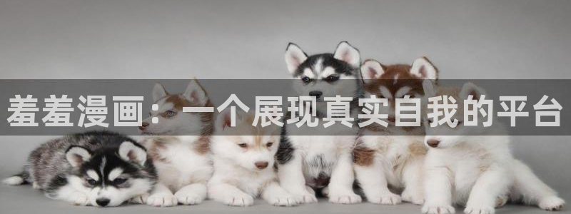 omofun动漫网官网