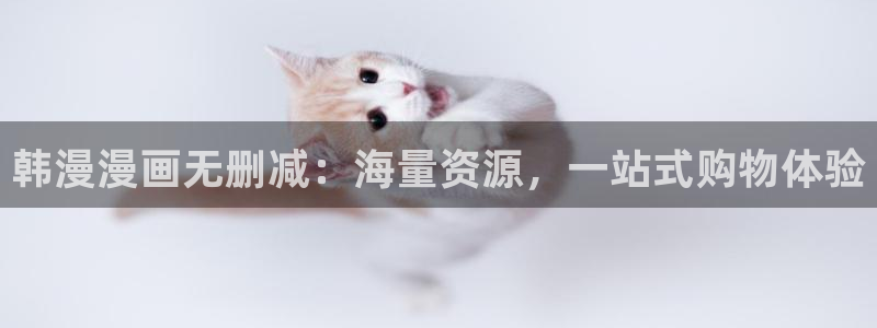 omofun动漫视频网