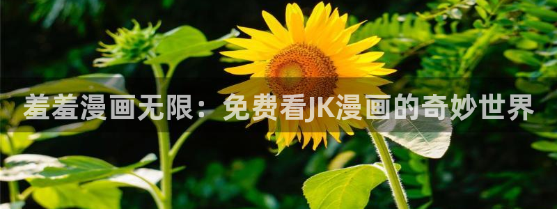 omofun永久发布页