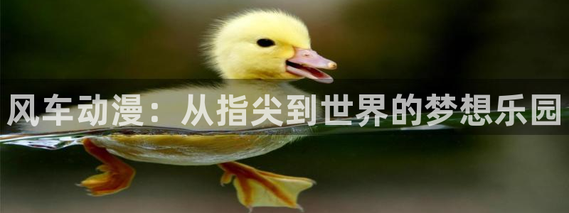 omofun免费正版下载：风车动漫：从指尖到世界的梦想乐园