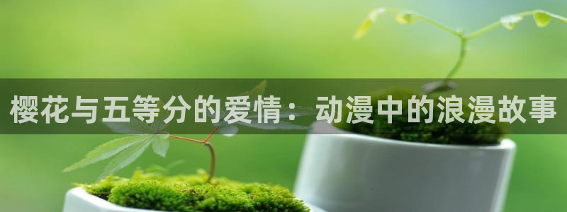 动漫天堂网站：樱花与五等分的爱情：动漫中的浪漫故事