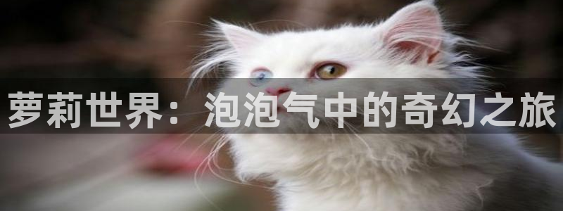 omofun弹幕网：萝莉世界：泡泡气中的奇幻之旅