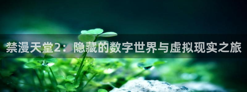 https://omofun：禁漫天堂2：隐藏的数字世界与虚拟现实之旅